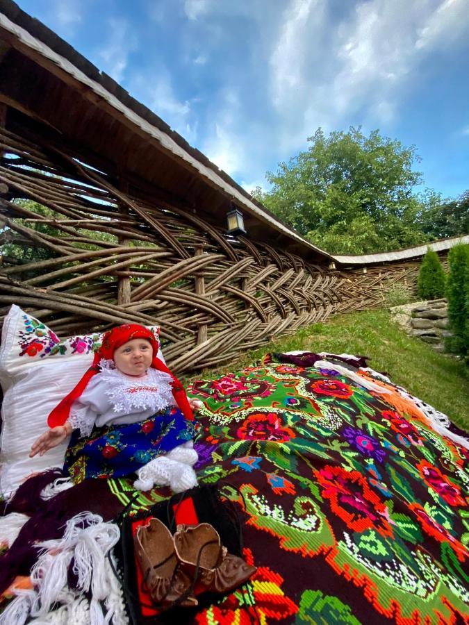 ואדו איזיי Floare De Maramures 1 מראה חיצוני תמונה